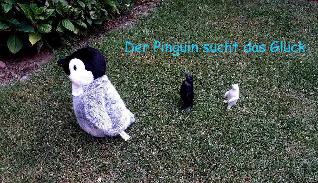 Beuse, Stefan/Greve, Sophie: Der Pinguin sucht das Glück – Rezension