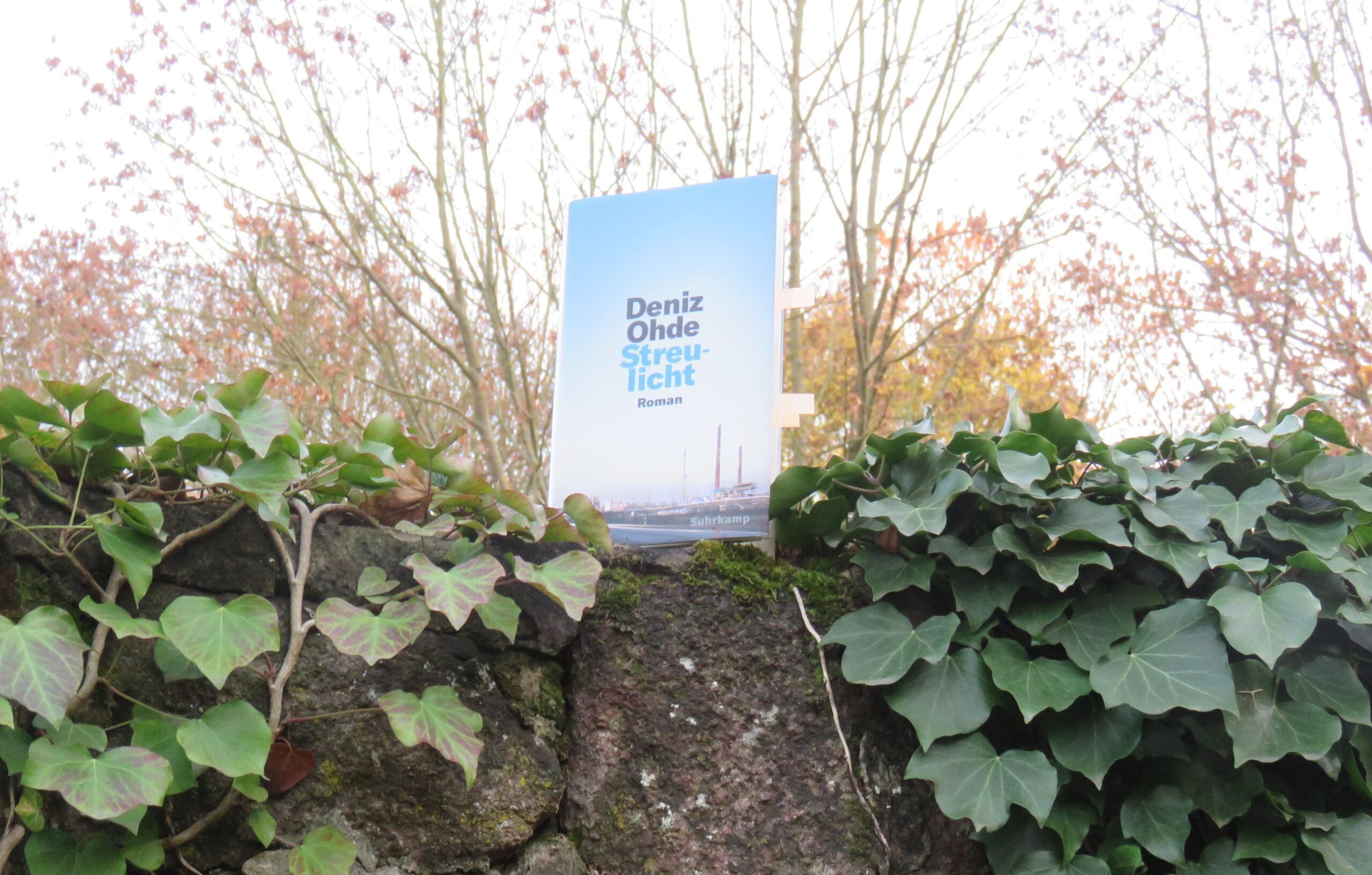 Ohde, Deniz: Streulicht – Rezension