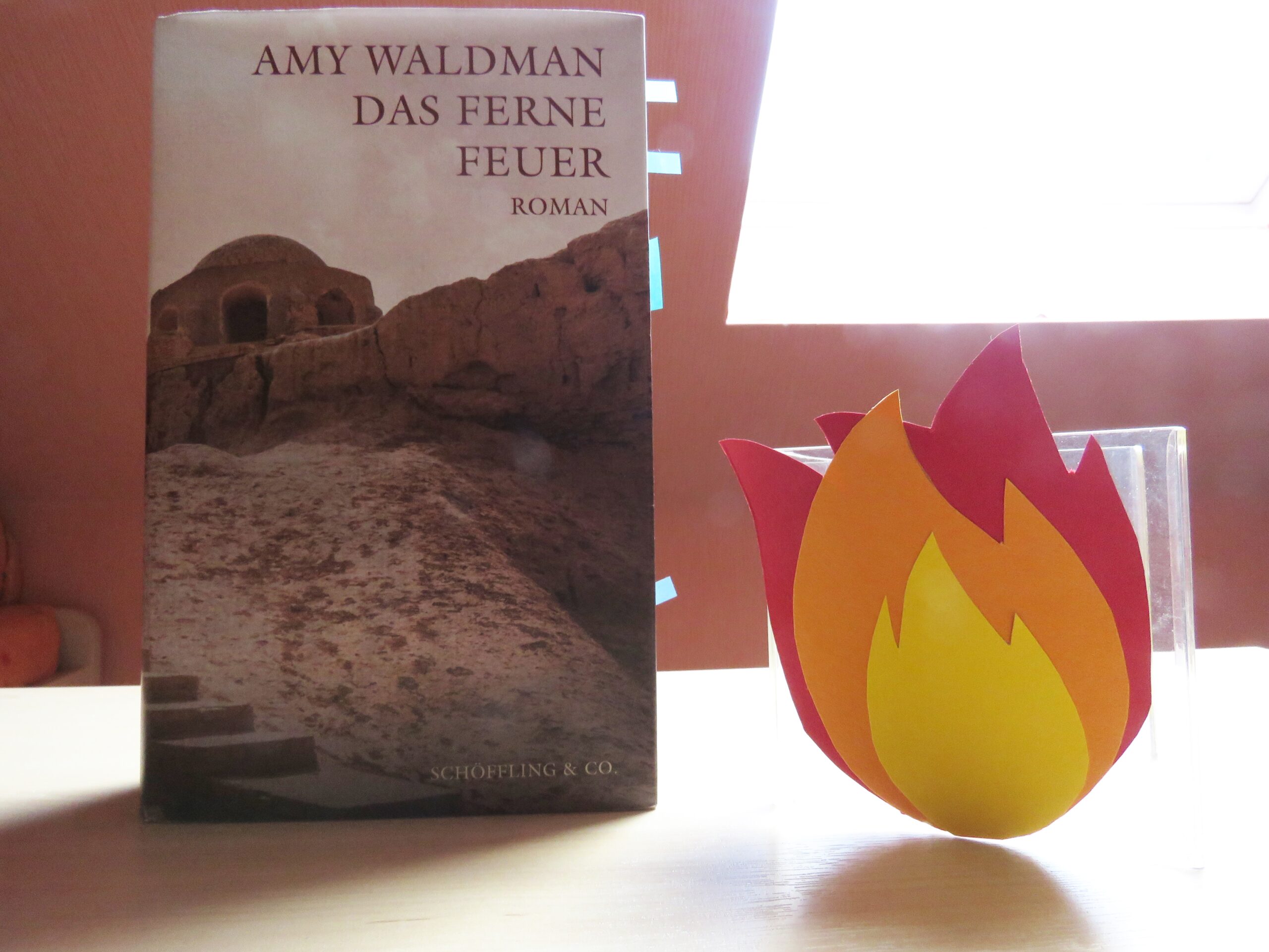 Waldman, Amy: Das ferne Feuer – Rezension