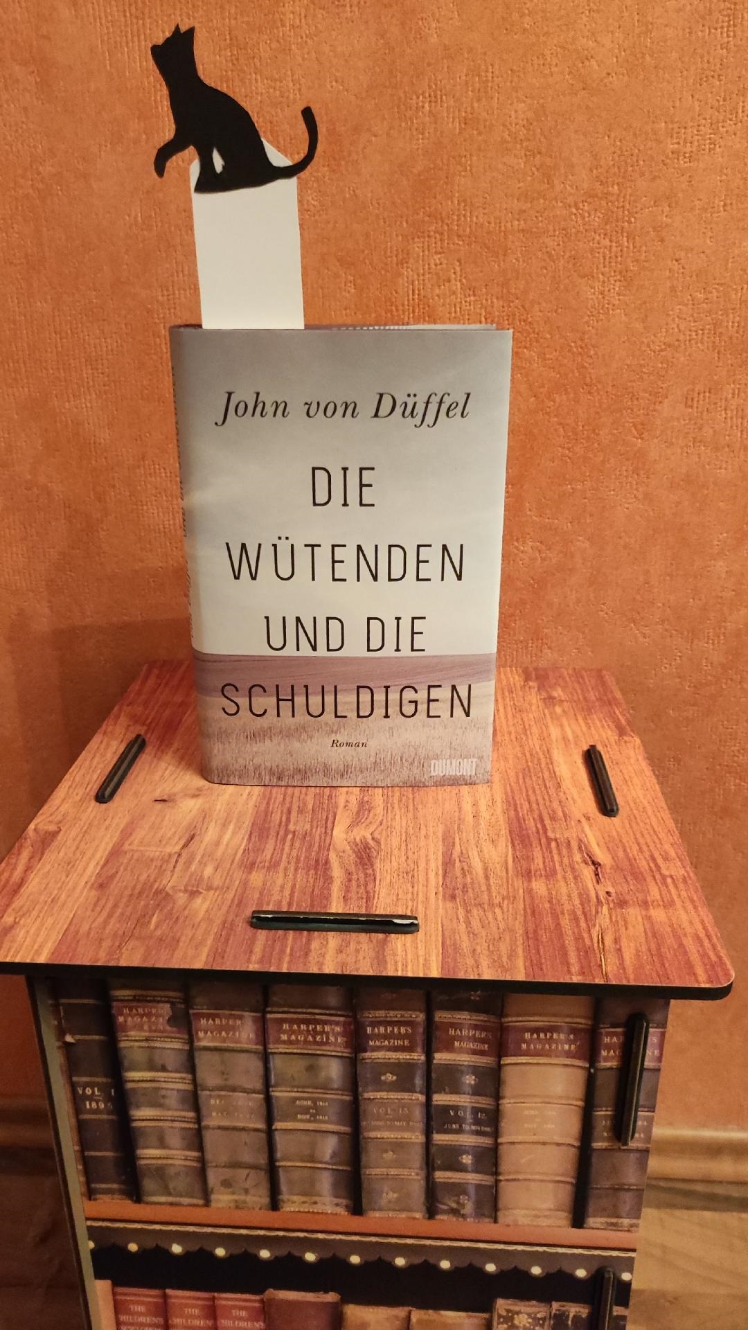 Düffel, John von: Die Wütenden und die Schuldigen – Rezension