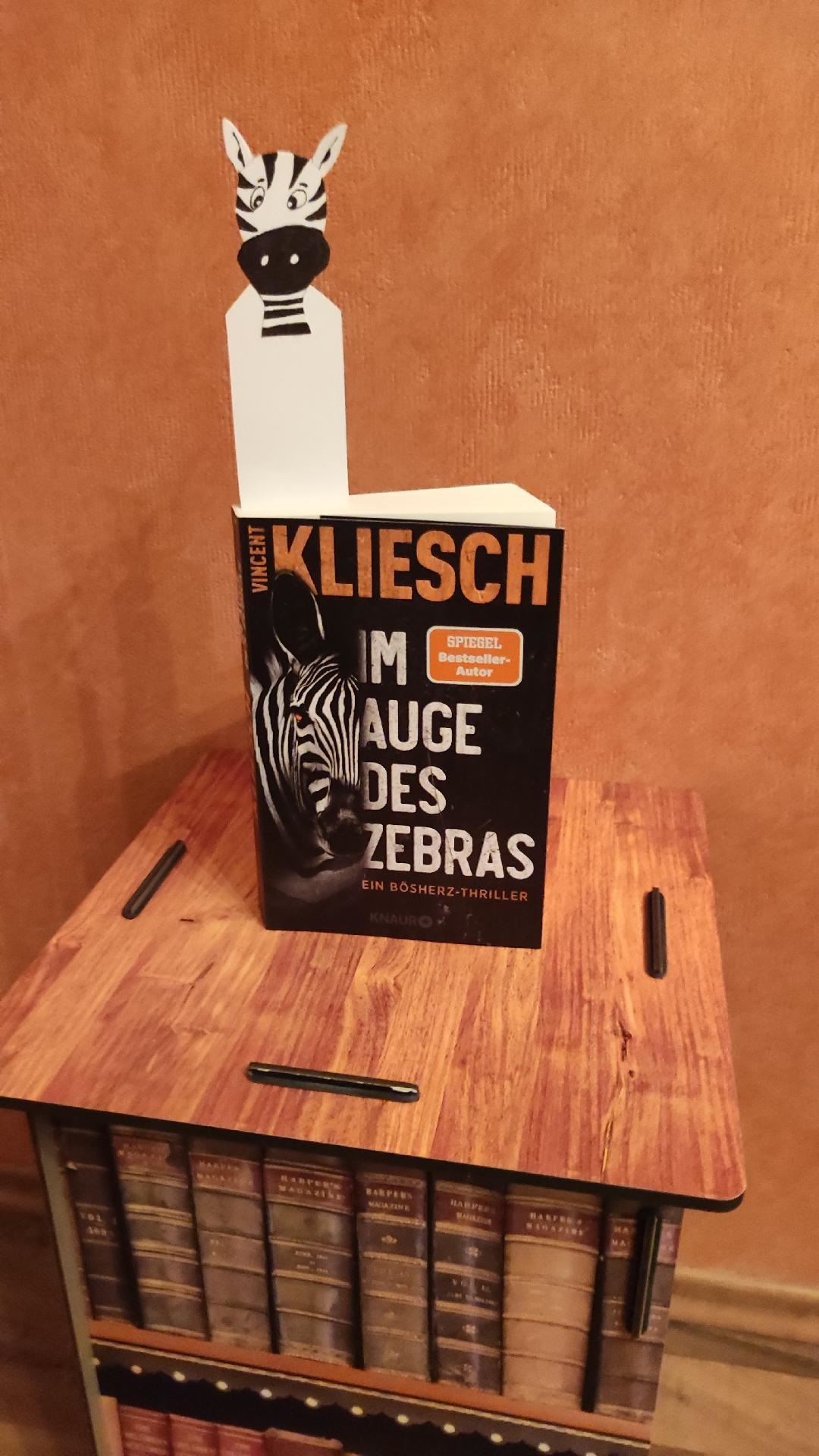 Kliesch, Vincent: Im Auge des Zebras – Rezension