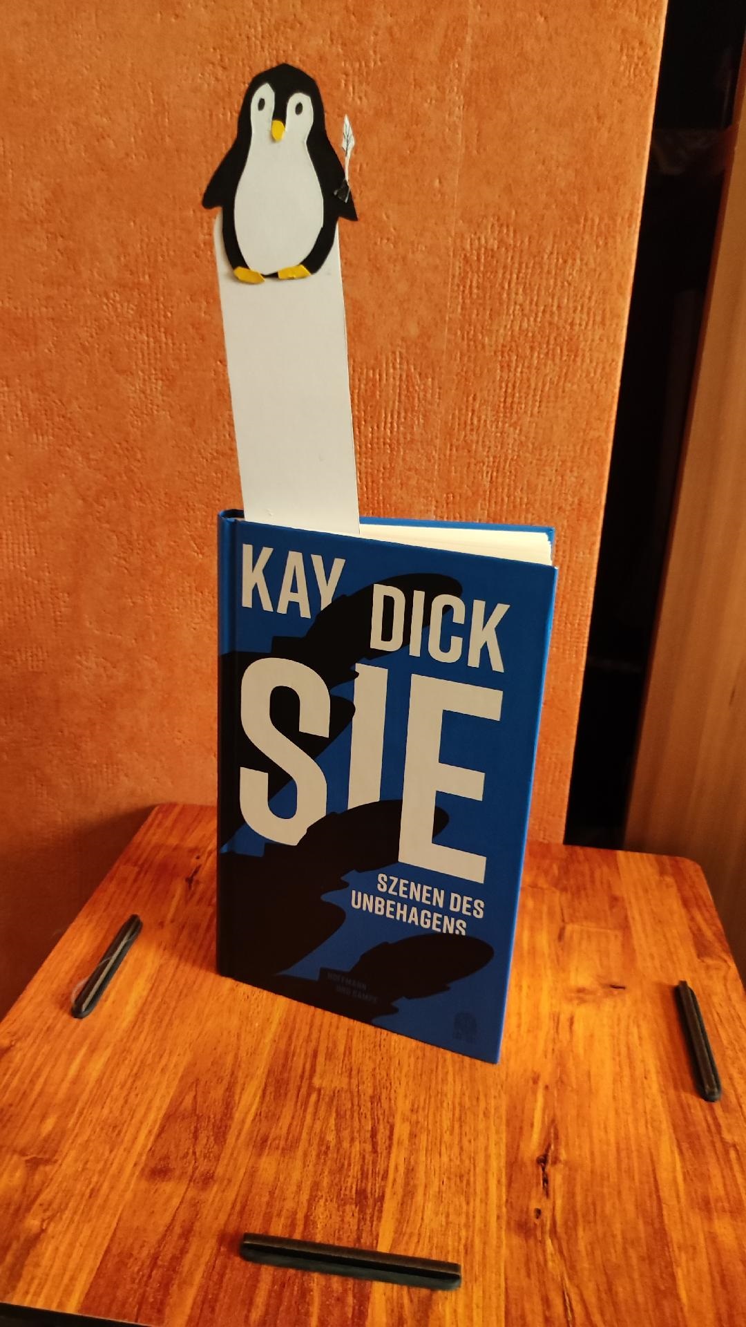 Dick, Kay: Sie. Szenen des Unbehagens – Rezension