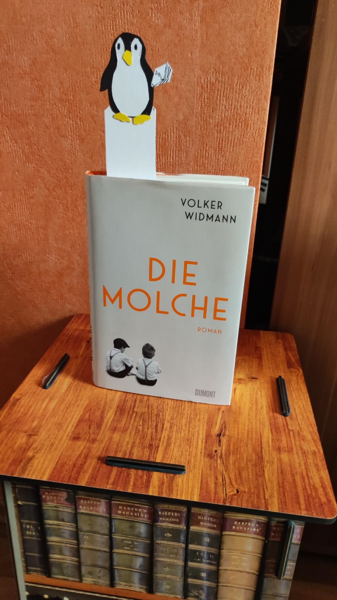 Widmann, Volker: Die Molche – Rezension