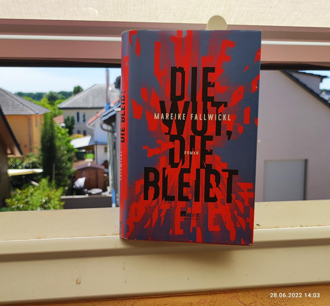 Fallwickl, Mareike: Die Wut, die bleibt – Rezension