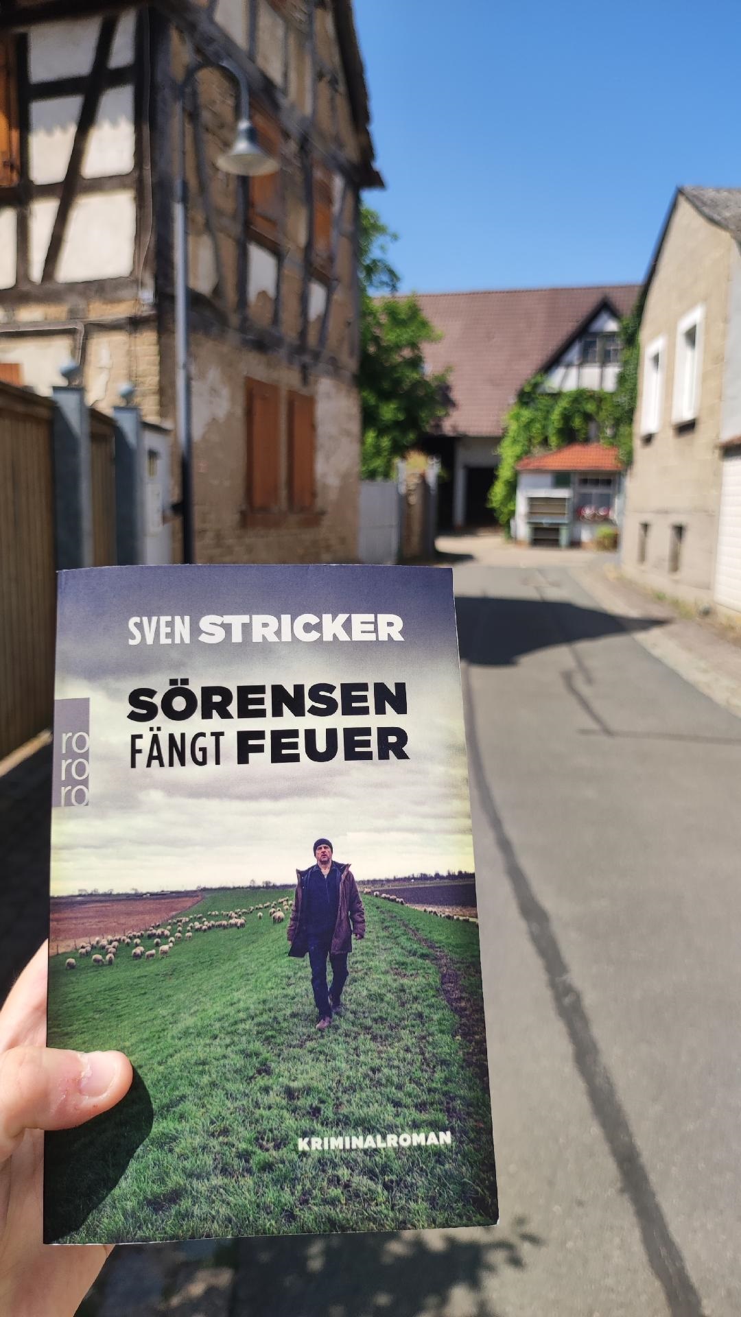 Sündenfälle und Leidenschaft als Spiel des Wahnsinns – Stricker, Sven: Sörensen fängt Feuer