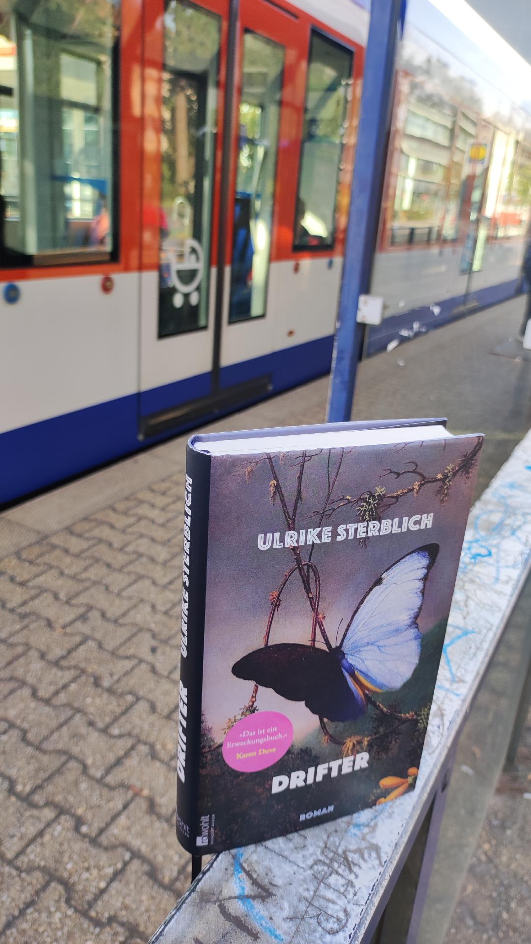 Ein turbulenter Ritt durch unsere Wahrnehmungsstruktur – Sterblich, Ulrike: Drifter